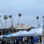 IMG_1406.jpeg