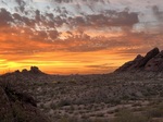 IMG_1541.jpeg