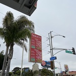 IMG_7522.jpeg